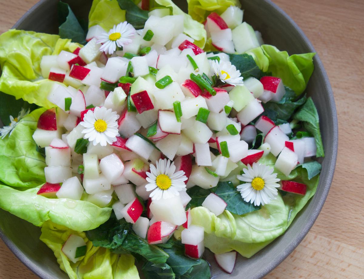 Fruehlingssalat von Radieschen und Kohlrabi