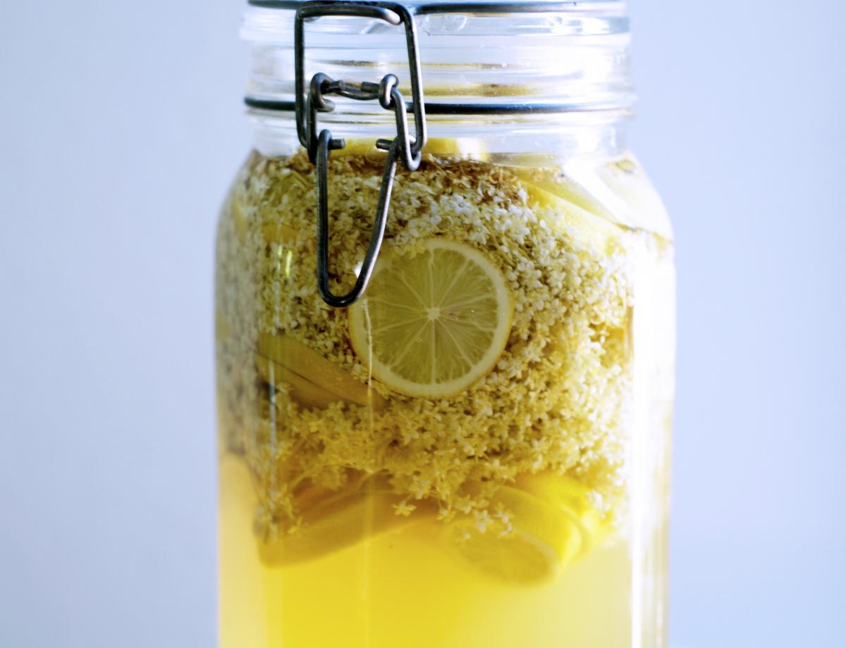 Holunderbluetensirup selbst machen